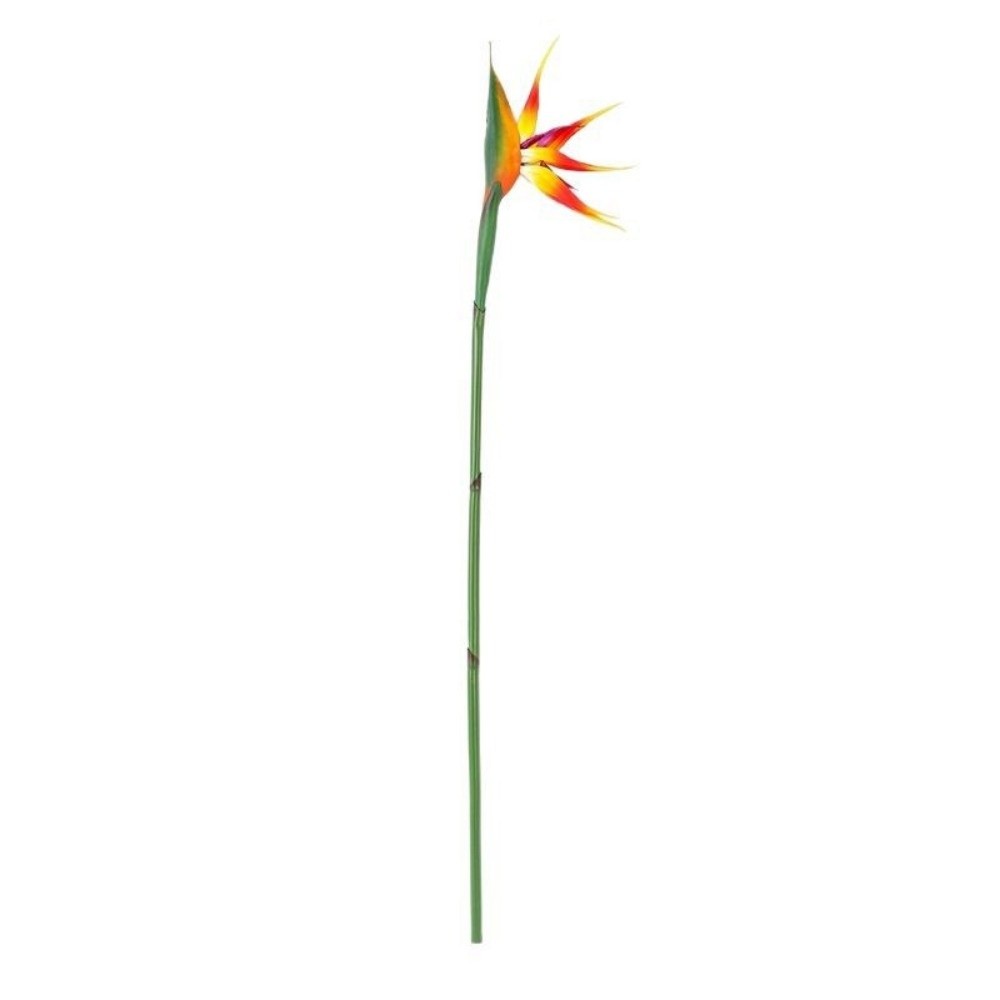 Long Stem Artificial Bird of P - Bird Paradise Strelitzia recension och pris