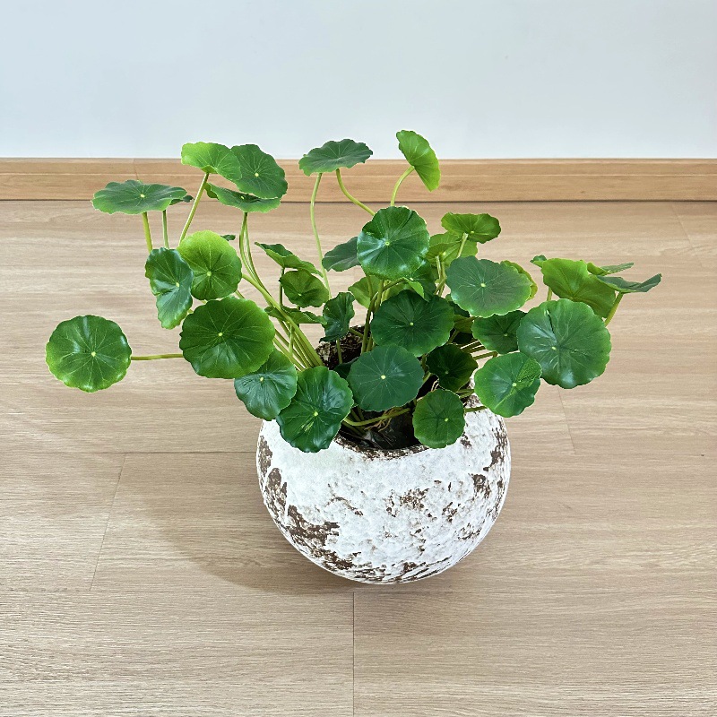 2pcs Artificial Pilea Peperomi - Pilea Peperomioides recension och pris