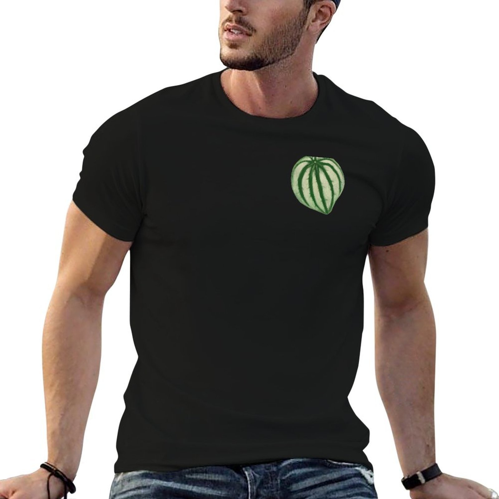 Watermelon Peperomia T-Shirt a - Peperomia Watermelon recension och pris